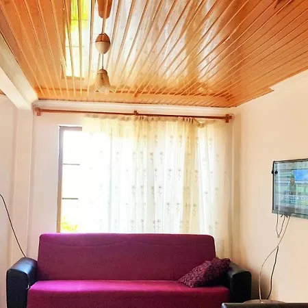 Ilknur Apart